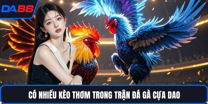 Có nhiều kèo thơm trong trận đá gà cựa dao