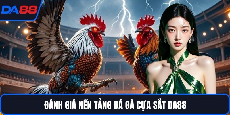 Đánh giá nền tảng đá gà cựa sắt DA88